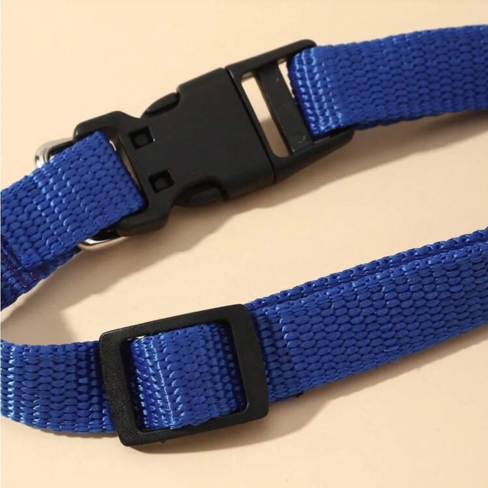 Blue Bandana Dog Collar
